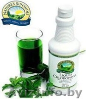 Декоративная косметика Bremani от Nsp  - Изображение #8, Объявление #710702