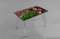 Кухонные столы и столешницы - Изображение #2, Объявление #1289493