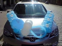 Встреча с роддома в Гомеле - Изображение #3, Объявление #1326451