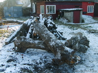 Дрова яблоня, груша - Изображение #2, Объявление #1346114