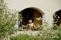 Фото - видеосъемка - Изображение #7, Объявление #1376375