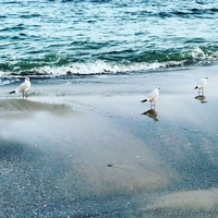 Хостел Орфей в самом центре Одессы - Изображение #6, Объявление #1441779