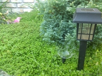 Монтаж систем автоматического полива | Продажа композитных бассейнов - Изображение #4, Объявление #1429988