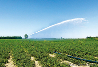 Передвижные дождевальные машины ПДМ-3000 - Изображение #2, Объявление #1477663