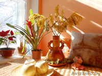 Массажная студия YNatali - Изображение #1, Объявление #1476319