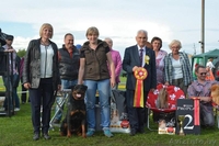 Щенки ротвейлера от элитных производителей. Питомник КСУ-FCI "TEREN"  - Изображение #2, Объявление #1512083