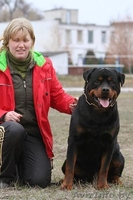 Щенки ротвейлера от элитных производителей. Питомник КСУ-FCI "TEREN"  - Изображение #4, Объявление #1512083