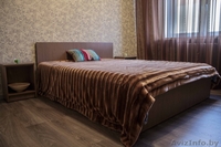 Трехком. Евроремонт. Волотова. WiFi. - Изображение #5, Объявление #1532939