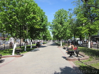 Двухкомнатная квартира возле ж/д вокзала на  сутки в Гомеле. Wi-Fi. - Изображение #9, Объявление #545217