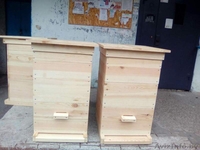 Улей - Изображение #2, Объявление #1585162