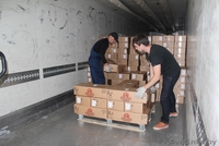 Грузоперевозки с грузчиками. Берёмся за любую работу! - Изображение #1, Объявление #1591390