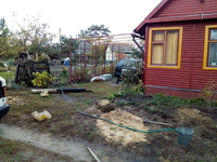 Заборы из профлиста и евросетки. Рассрочка до 2 лет - Изображение #2, Объявление #1637184