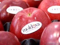 Свежие помидоры +доставка. - Изображение #2, Объявление #1245454