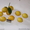 цитруси,мандарини, декоративние растениа - Изображение #5, Объявление #69641