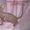 Канадский сфинкс (котята) - Изображение #3, Объявление #78307