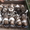 московская сторожевая щенки с питомника - Изображение #3, Объявление #82848