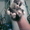 Котят  в хорошие руки отдам - Изображение #2, Объявление #282910
