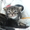 Мейн-кун котята - Изображение #3, Объявление #695896