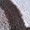 Химчистка ковров в гомеле - Изображение #4, Объявление #747235