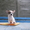 Очаровательный щенок чихуахуа ищет хозяина - Изображение #2, Объявление #757035