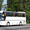 Пассажирские перевозки. Аренда автобусов. Неоплан,  Сетра,  Маз #843941