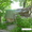  Сдается обжитый дом с землей, с хоз. постройками, 15 км от Жлобина - Изображение #3, Объявление #939623
