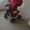 Прогулочная коляска Babycare Avia - Изображение #1, Объявление #948274