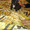 Высокопородные щенки французского бульдога - Изображение #2, Объявление #1008517