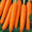 Морковь в розницу 2 500/кг #1135030