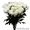 Живые цветы оптом в Гомеле - Изображение #2, Объявление #1242385