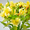 Живые цветы оптом в Гомеле - Изображение #4, Объявление #1242385
