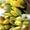 Живые цветы оптом в Гомеле - Изображение #6, Объявление #1242385