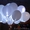 Светящиеся шары с гелием - Изображение #1, Объявление #1326444
