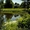 Агроусадьба Бобров Ручей для вашего отдыха Добрушский р-н - Изображение #2, Объявление #1604599
