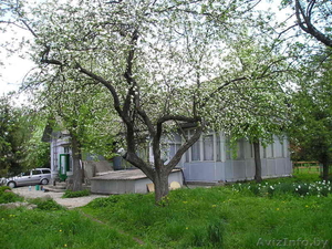 Продам дом в деревне Ивановка речицкого района - Изображение #5, Объявление #221726