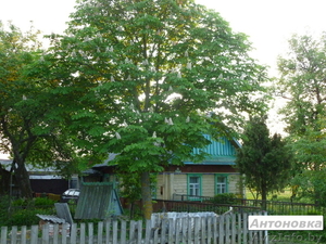  Сдается обжитый дом с землей, с хоз. постройками, 15 км от Жлобина - Изображение #1, Объявление #939623