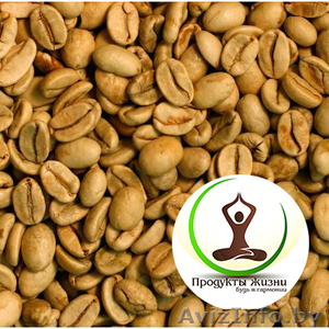 Зеленый кофе. Скидки 50%. Бесплатная доставка по Беларуси. Реальные отзывы!