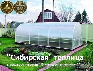 Сверхпрочная «Сибирская теплица» парник 10х3х2. (с подарком)