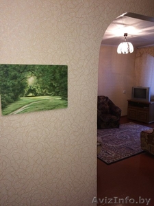 1-комнатная квартира на сутки в центре Гомеля - Изображение #5, Объявление #1053057