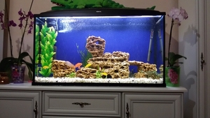 изготовление и ремонт аквариумов в гомеле #1201537