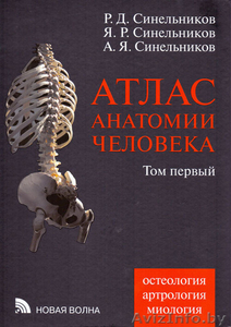 Синельников Атлас анатомии человека - Изображение #1, Объявление #1230573
