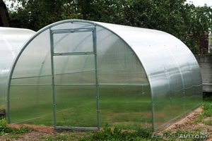           Теплица