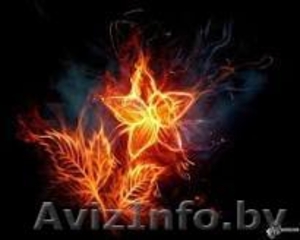 Оклейка обоев: виниловые. флизелиновые,  бумажные.