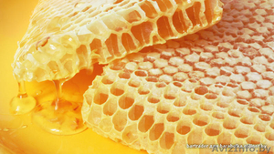 свежевыкачанный,  вкуснейший мёд.  Собственная пасека.  Скидки