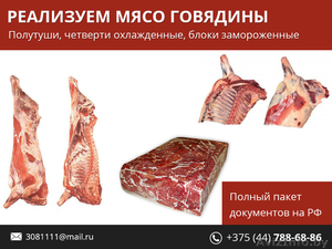 Мясо говядины. Полный пакет документов на РФ. - Изображение #1, Объявление #1480135