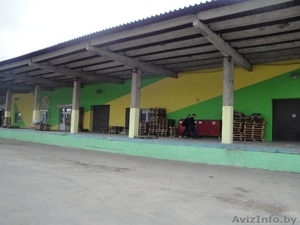 Аренда склада-магазина в г. Пинск 200-600 м2