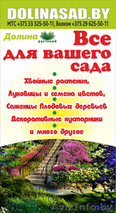 Растения оптом и в розницу в Минске. Доставка. С гарантией.