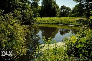 Агроусадьба Бобров Ручей для вашего отдыха под Гомелем - Изображение #5, Объявление #1602478