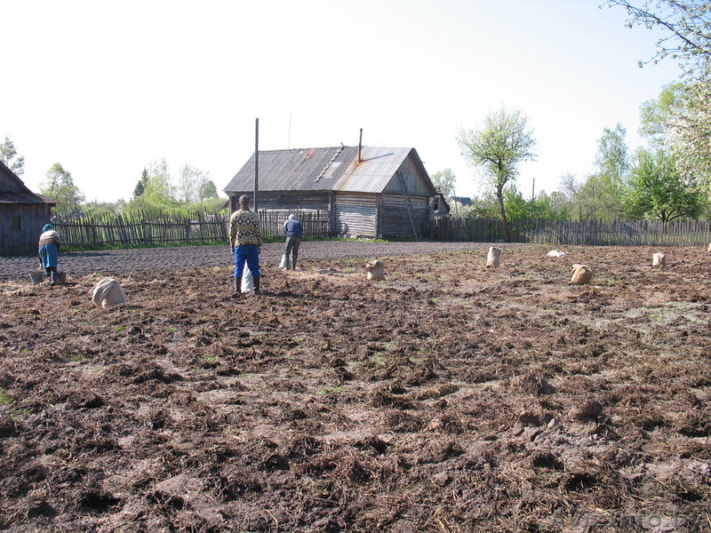 Продается деревенский дом в деревне - Изображение #5, Объявление #38922