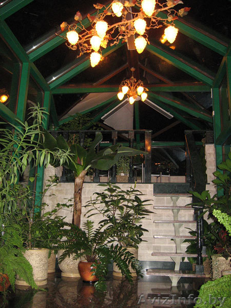 Инфракрасные обогреватели.Купить обогреватели.Инфракрасные излучатели(лампы) - Изображение #5, Объявление #76884